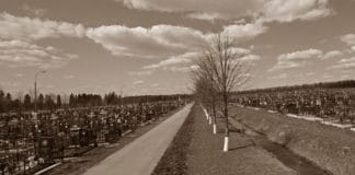 место на кладбище